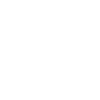 1 ic