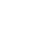 2 ic